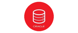 Oracle 数据库图标